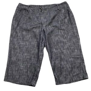 Sandro Capri pants sz 20W